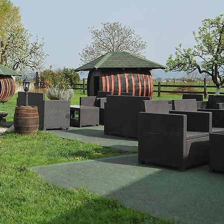 Klet Cinkus Bed & Breakfast Hrvatski Leskovac ภายนอก รูปภาพ