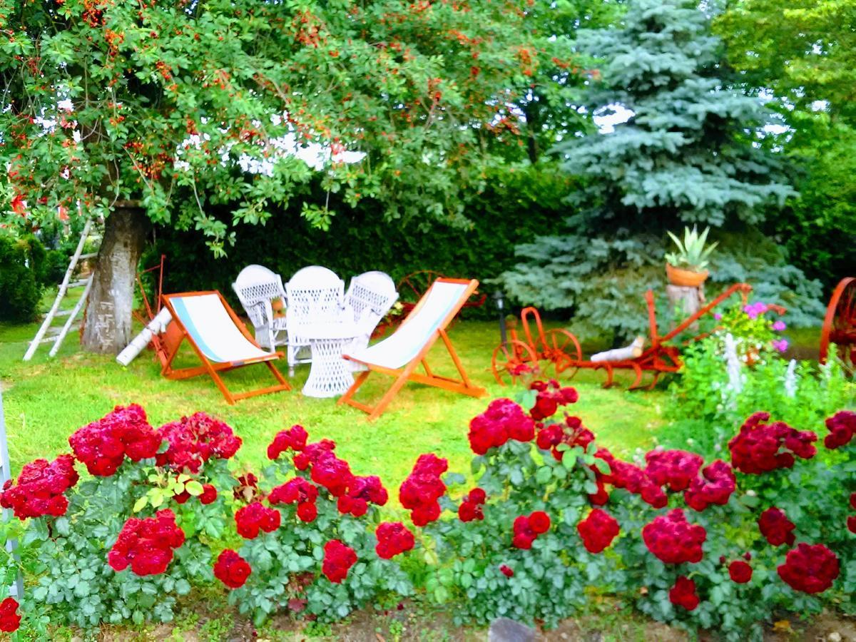 Klet Cinkus Bed & Breakfast Hrvatski Leskovac ภายนอก รูปภาพ