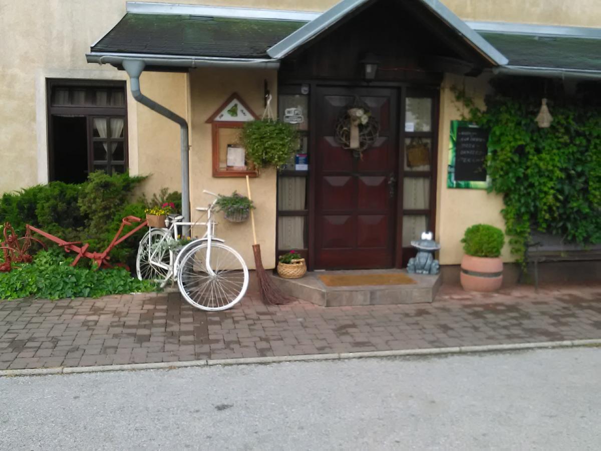 Klet Cinkus Bed & Breakfast Hrvatski Leskovac ภายนอก รูปภาพ