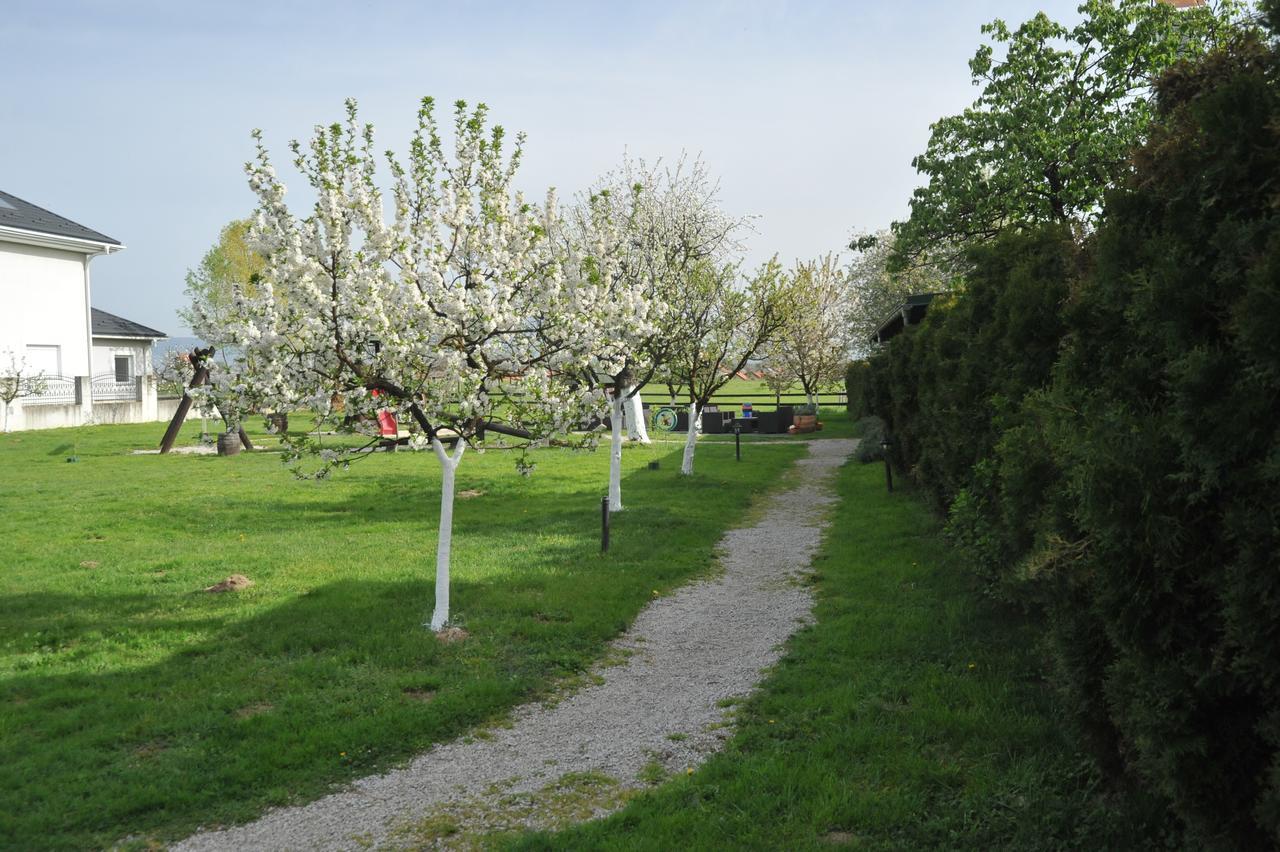 Klet Cinkus Bed & Breakfast Hrvatski Leskovac ภายนอก รูปภาพ